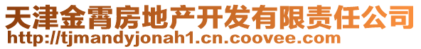 天津金霄房地產(chǎn)開發(fā)有限責(zé)任公司