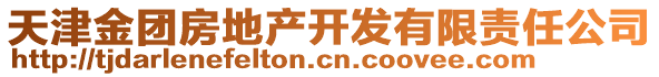 天津金團房地產開發有限責任公司