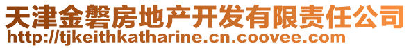 天津金磐房地產(chǎn)開發(fā)有限責(zé)任公司