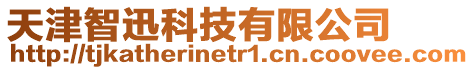 天津智迅科技有限公司