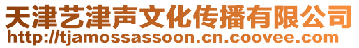 天津藝津聲文化傳播有限公司