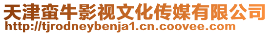天津蠻牛影視文化傳媒有限公司