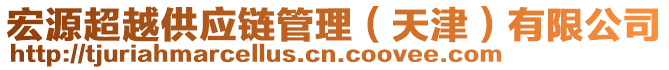 宏源超越供應鏈管理（天津）有限公司