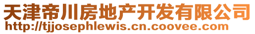 天津帝川房地產(chǎn)開(kāi)發(fā)有限公司