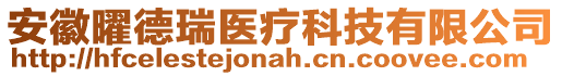 安徽曜德瑞醫療科技有限公司