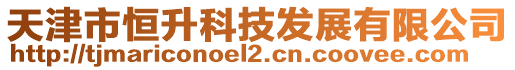 天津市恒升科技發展有限公司