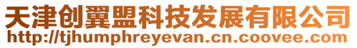 天津創(chuàng)翼盟科技發(fā)展有限公司