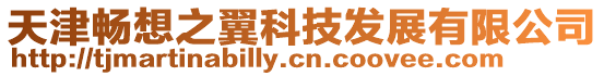 天津暢想之翼科技發展有限公司