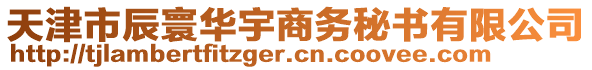 天津市辰寰華宇商務(wù)秘書有限公司