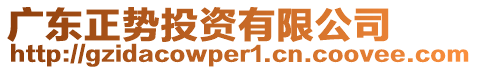 廣東正勢(shì)投資有限公司