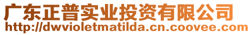 廣東正普實業投資有限公司