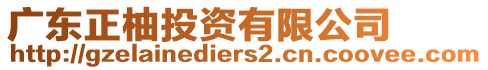 廣東正柚投資有限公司