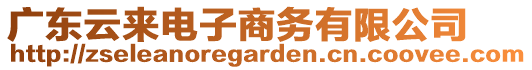 廣東云來電子商務(wù)有限公司