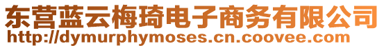 東營(yíng)藍(lán)云梅琦電子商務(wù)有限公司