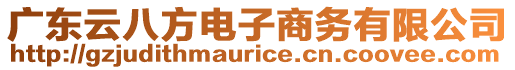 廣東云八方電子商務有限公司