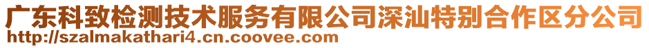 廣東科致檢測(cè)技術(shù)服務(wù)有限公司深汕特別合作區(qū)分公司