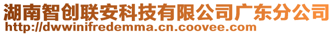 湖南智創聯安科技有限公司廣東分公司