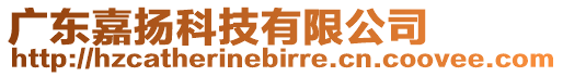 廣東嘉揚(yáng)科技有限公司