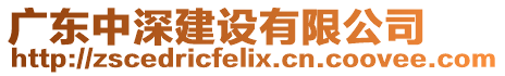 廣東中深建設(shè)有限公司