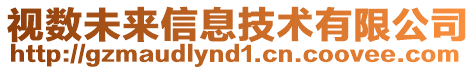 視數(shù)未來信息技術(shù)有限公司