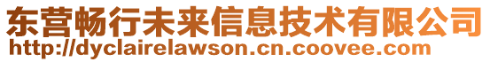 東營暢行未來信息技術有限公司