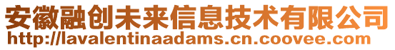 安徽融創(chuàng)未來信息技術(shù)有限公司