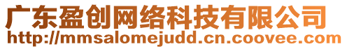 廣東盈創(chuàng)網(wǎng)絡(luò)科技有限公司