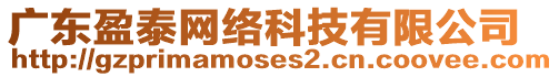 廣東盈泰網(wǎng)絡(luò)科技有限公司