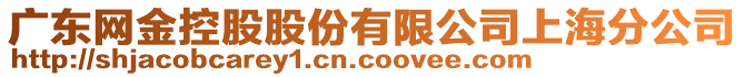 廣東網金控股股份有限公司上海分公司