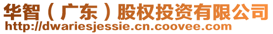 華智(廣東)股權投資有限公司