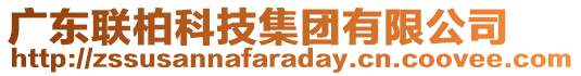 廣東聯(lián)柏科技集團(tuán)有限公司