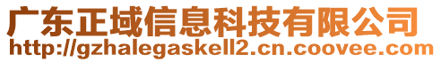 廣東正域信息科技有限公司