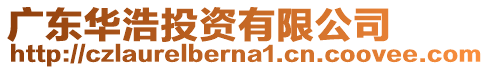 廣東華浩投資有限公司