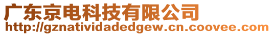 廣東京電科技有限公司