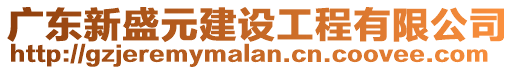 廣東新盛元建設工程有限公司