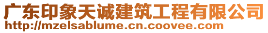 廣東印象天誠建筑工程有限公司