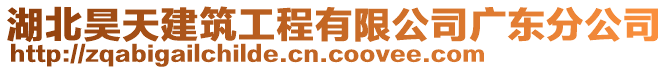 湖北昊天建筑工程有限公司廣東分公司