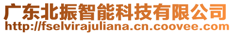 廣東北振智能科技有限公司