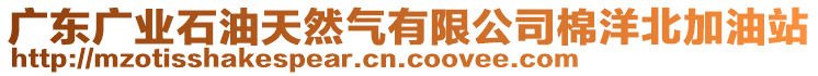 廣東廣業(yè)石油天然氣有限公司棉洋北加油站