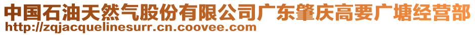 中國(guó)石油天然氣股份有限公司廣東肇慶高要廣塘經(jīng)營(yíng)部