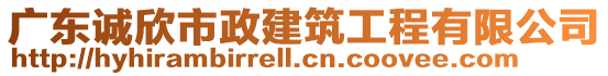 廣東誠欣市政建筑工程有限公司