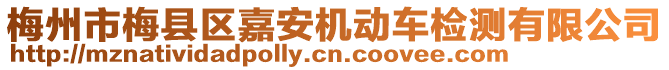 梅州市梅縣區(qū)嘉安機(jī)動(dòng)車(chē)檢測(cè)有限公司