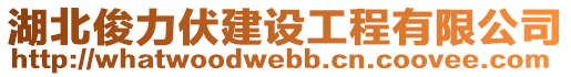 湖北俊力伏建設工程有限公司