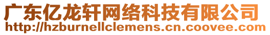 廣東億龍軒網(wǎng)絡(luò)科技有限公司