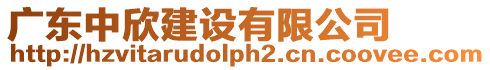廣東中欣建設(shè)有限公司