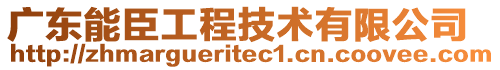 廣東能臣工程技術(shù)有限公司