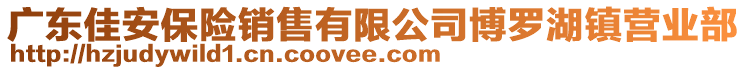 廣東佳安保險銷售有限公司博羅湖鎮(zhèn)營業(yè)部