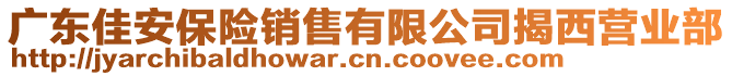 广东佳安保险销售有限公司揭西营业部