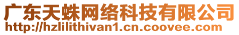 廣東天蛛網(wǎng)絡科技有限公司