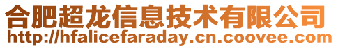 合肥超龍信息技術有限公司
